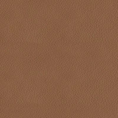 Butternut