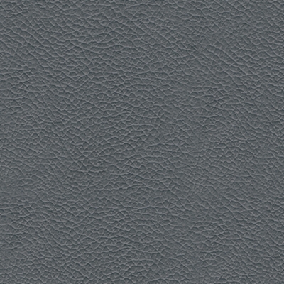 Steel