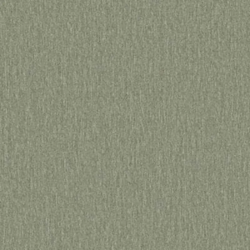 amigo-ii-sage.jpg