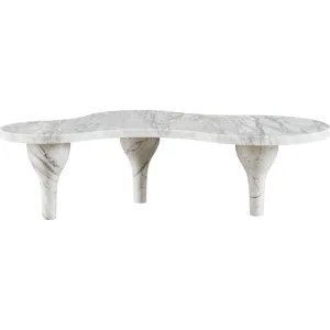 As Shown: Polished Arabescato