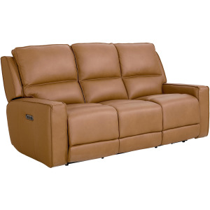 Raymond Motion Sofa w/Power - Antelope