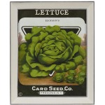 Lettuce