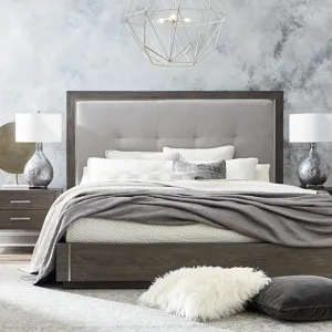 MODERN Queen Astor Bed
