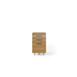 sequel-low-mobile-file-6107-BDI-WL-B-modern-office-furniture-1.jpg
