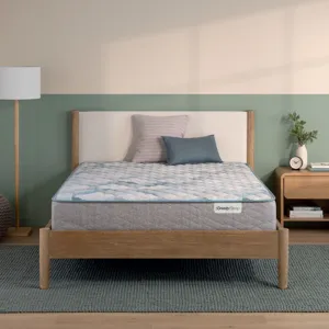 Dream Weaver 11.5\" Firm Mattress -Queen