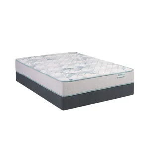 Dream Weaver 11.5\" Firm Mattress -Queen