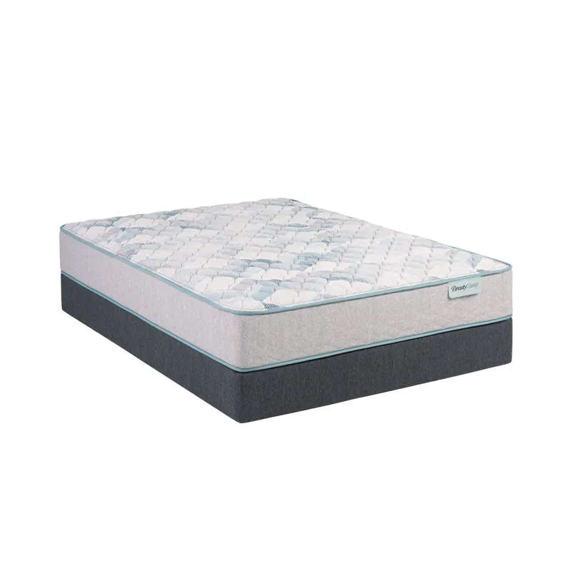 Dream Weaver 11.5\" Firm Mattress -Queen