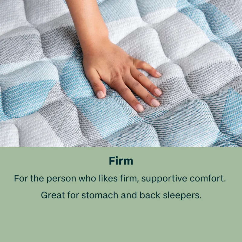 Dream Weaver 11.5\" Firm Mattress -Queen