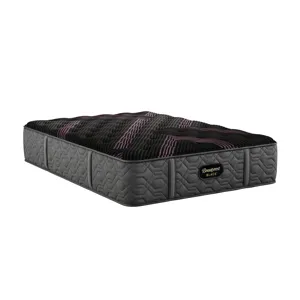 Beautyrest Black Series Two Plush Mattress