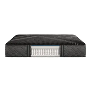 JPEG_Small-BR24_NL_Black_Hybrid_SeriesOne_FM_Cutaway.jpg