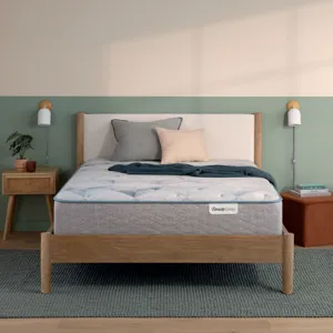 Dream Weaver 13.75\\\" Plush Mattress Set