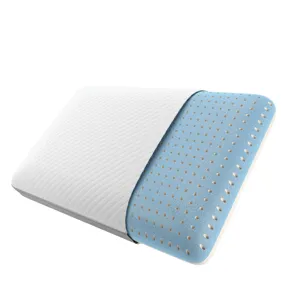 Beautyrest Absolute Relaxation Pillow