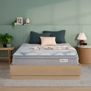 Dream Weaver 14.25\\\" Medium Pillow Top Mattress