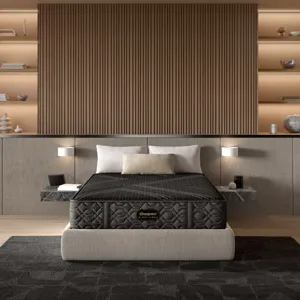 JPEG_Small-BR24_NL_Black_Hybrid_SeriesOne_FM_Room_Front.jpg