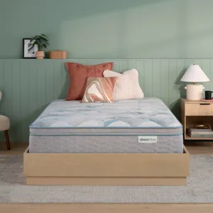 Dream Weaver 14.25\\\" Ultra Plush Pillow Top Mattress