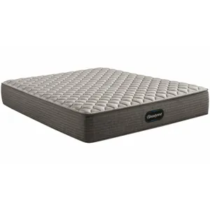 Select Choice Plush Mattress