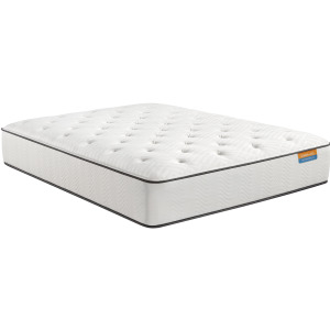 Dreamwell Vacay Firm Mattress