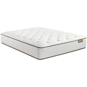 Dreamwell Vacay Firm Mattress