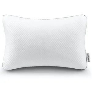 Beautyrest Absolute Relaxation Pillow