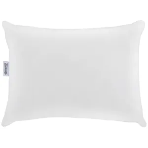 Beautyrest Deep Rest Pillow