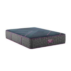 Beautyrest World Class Hybrid Level Three Medium Mattress
