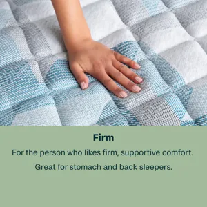 Dream Weaver 12.5\\\" Firm Mattress Set