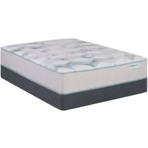 Dream Weaver 13.75\\\" Plush Mattress Set
