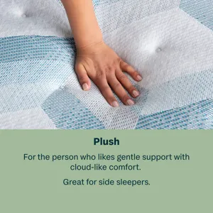 Dream Weaver 13.75\\\" Plush Mattress Set