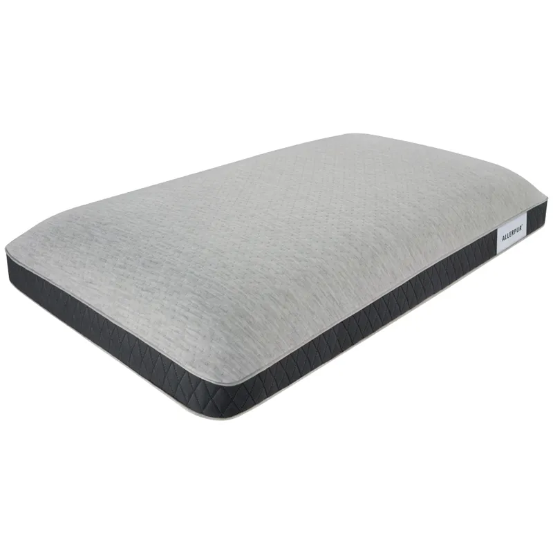 BR18_Complete_BR_Black_Absolute_Luxury_Pillow-6in_InfiniPur-InfiniCool_Silo-MEMORY_FOAM.jpg
