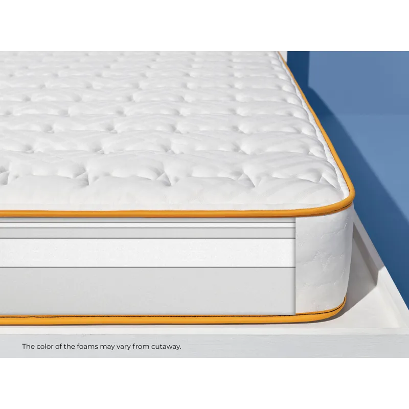 SM20_Sleep_Goalzzz_MD_Foam_Q_Cutaway.jpg