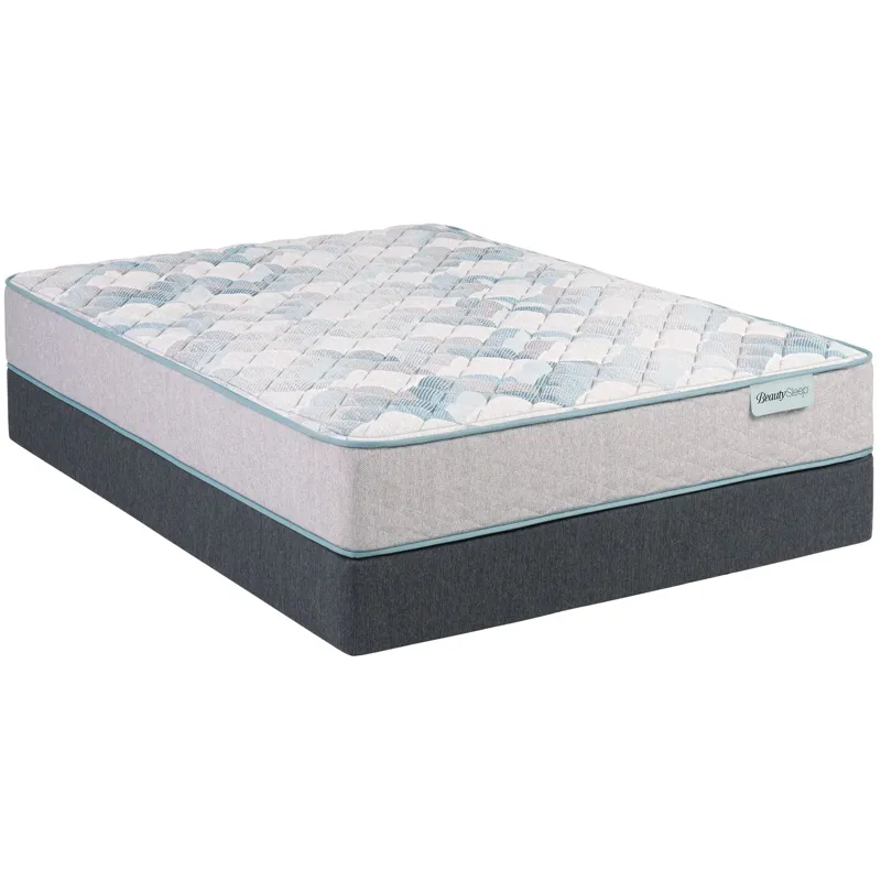 Dream Weaver 12.5\\\" Firm Mattress Set