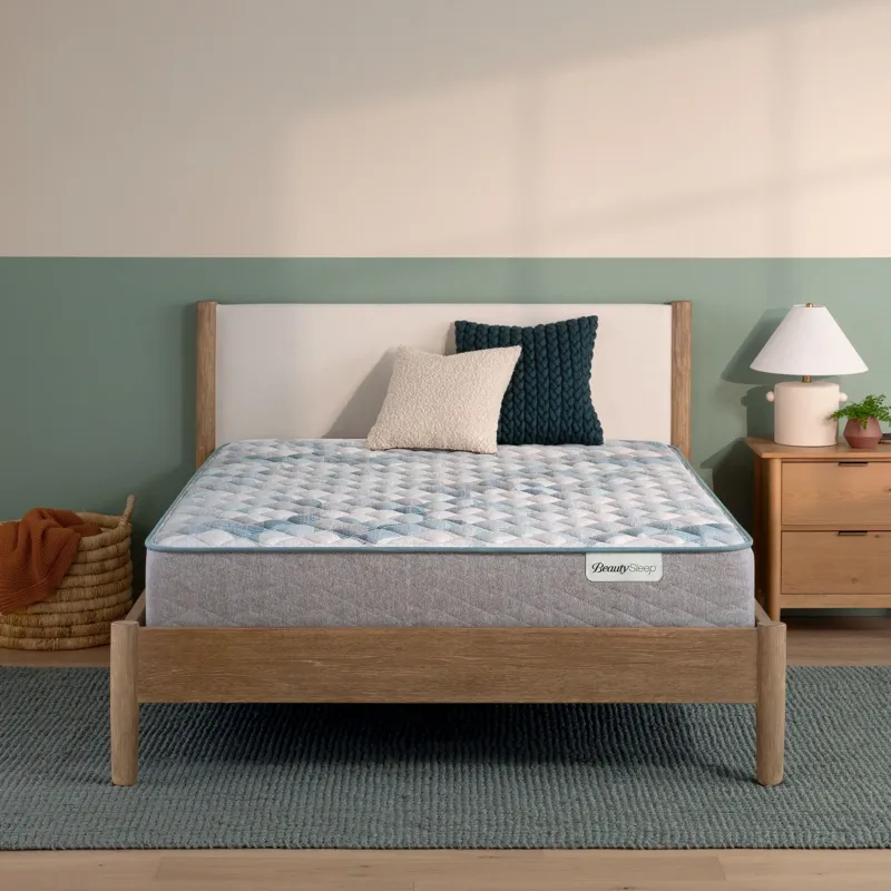 Dream Weaver 12.5\\\" Firm Mattress Set