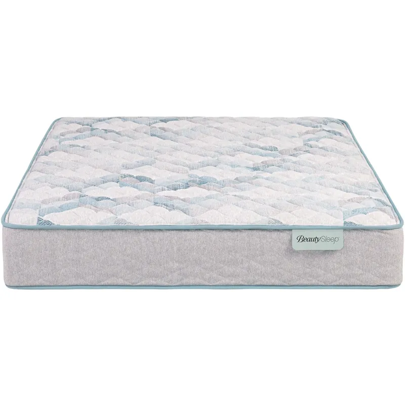 Dream Weaver 11.5\\\" Firm Mattress