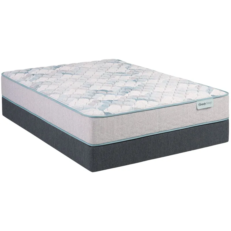 Dream Weaver 11.5\\\" Firm Mattress