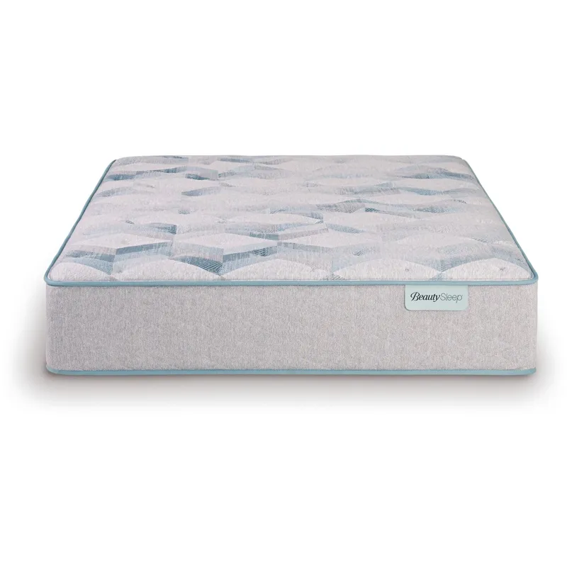 Dream Weaver 13.75\\\" Plush Mattress Set