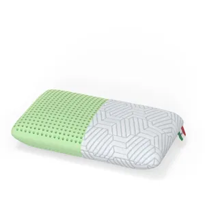 Bella Frost Standard Pillow