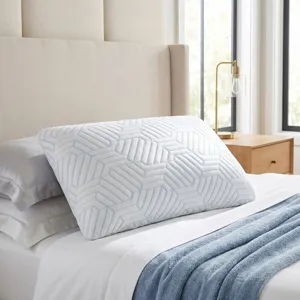 Bella Frost Standard Pillow