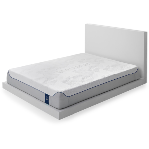 S7 LSX Plush King - 12"