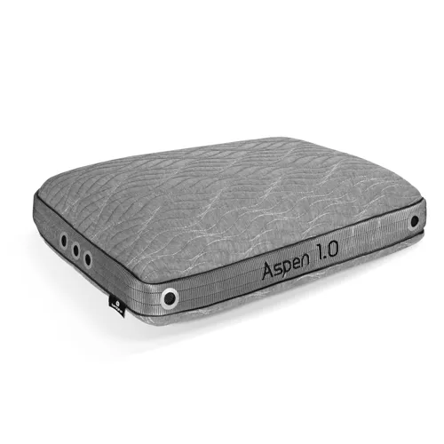Aspen Performance Pillow 1.0