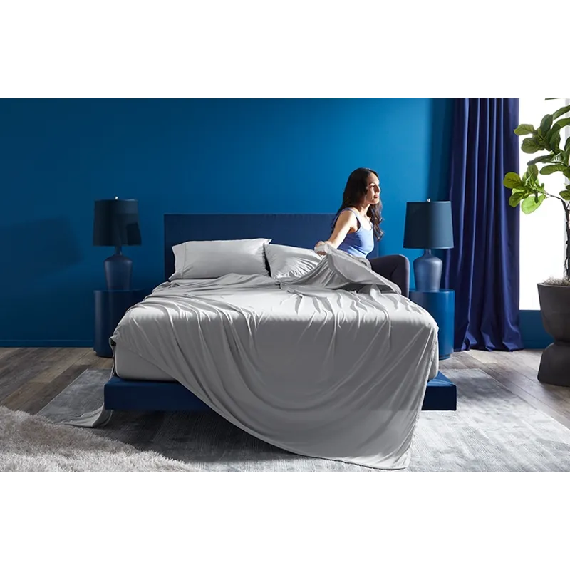 Dri-Tec Sheet Set-Light Grey-Split Head Queen