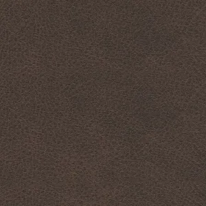 55503-body-a-swatch-500.jpg