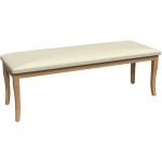 Bench with Cushion