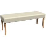 Casual Contemporary Bench