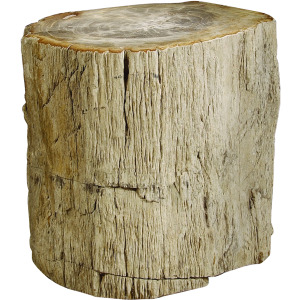 Petrified Accent Table