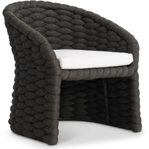 Salinas Arm Chair