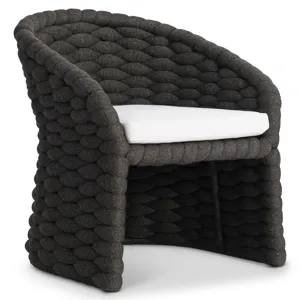 Salinas Arm Chair