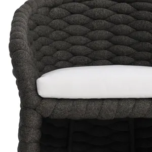 Salinas Arm Chair