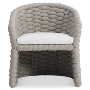 Salinas Arm Chair