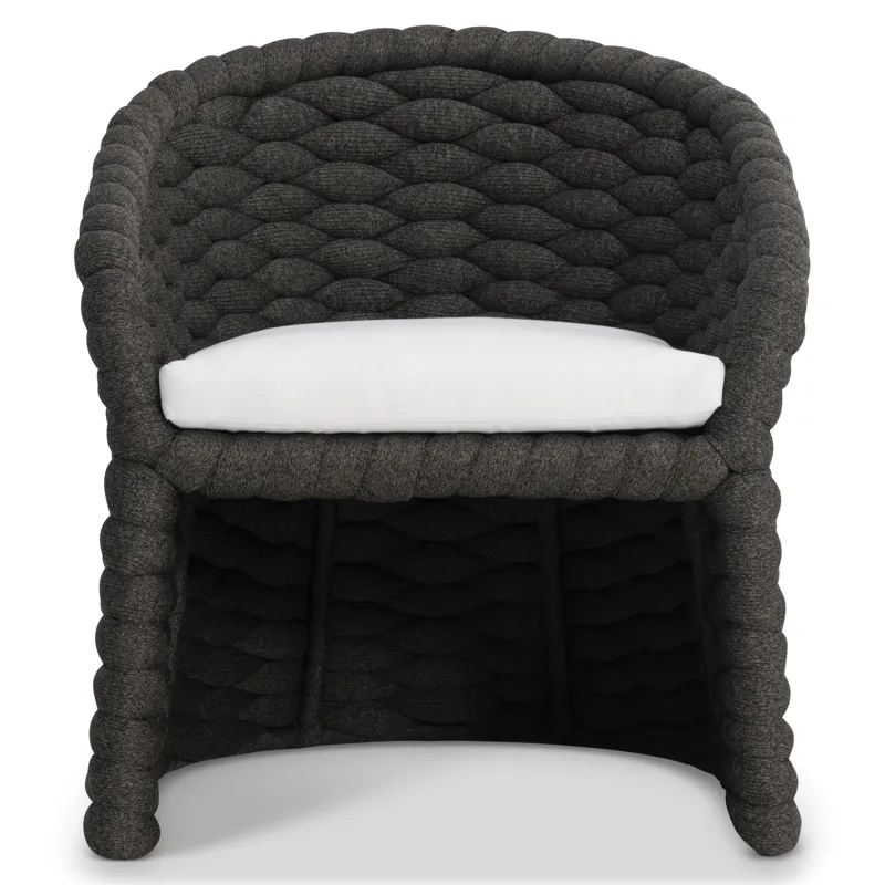 Salinas Arm Chair