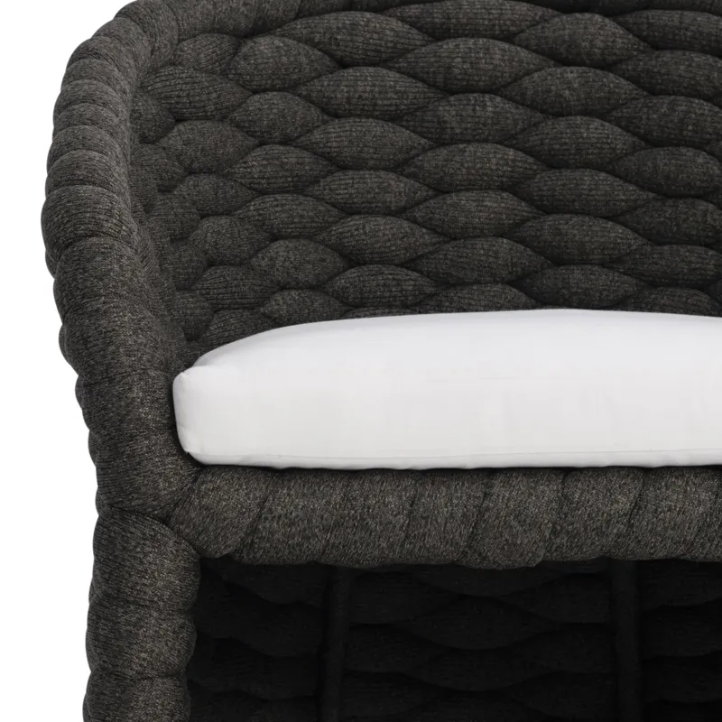 Salinas Arm Chair
